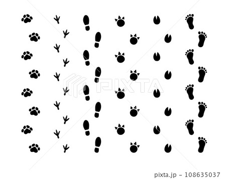 人や犬などの動物の足跡のイラスト 108635037