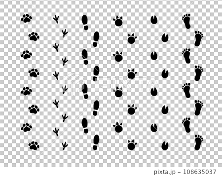 人や犬などの動物の足跡のイラスト 108635037