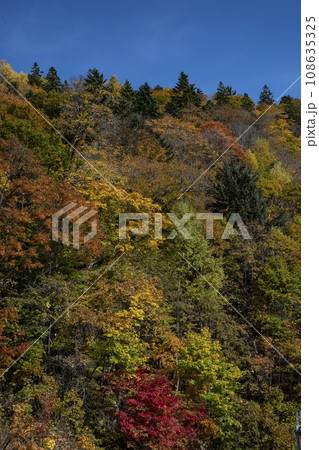 定山渓の紅葉 定山渓の紅葉 108635325