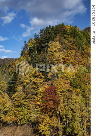 定山渓の紅葉 定山渓の紅葉 108635354