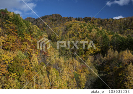定山渓の紅葉 108635358