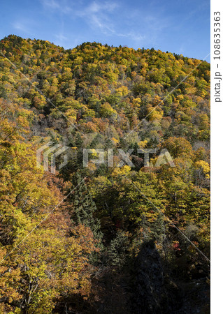 定山渓の紅葉 定山渓の紅葉 108635363