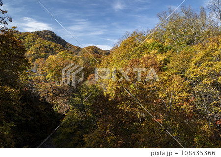 定山渓の紅葉 定山渓の紅葉 108635366