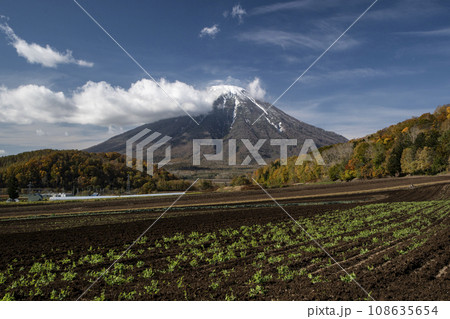 初雪の羊蹄山 初雪の羊蹄山 108635654