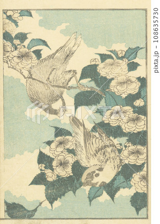 北斎　文鳥　雀　山吹 108635730