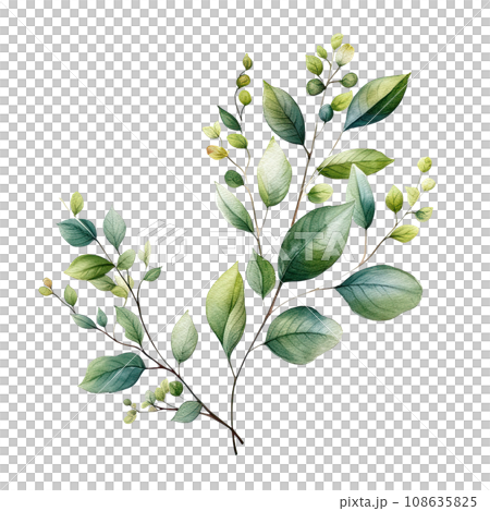 Watercolor leaves and branches illustration transparent background, PNG ,Generative AI 108635825
