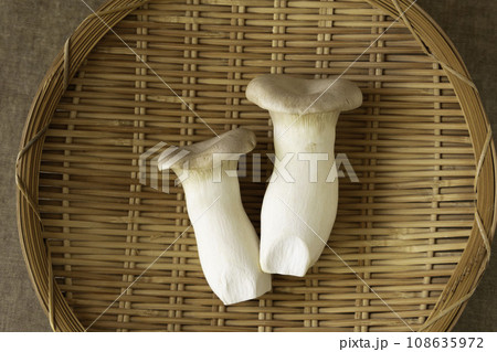 エリンギ　素材 108635972