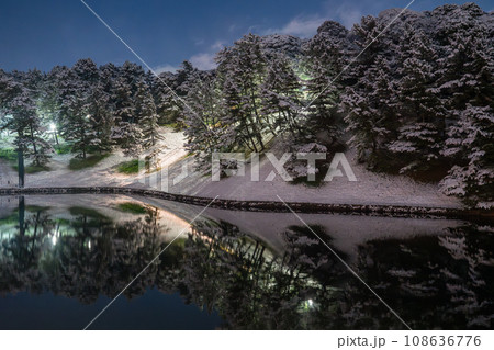 《東京都》大雪の東京・積雪の皇居周辺 《東京都》大雪の東京・積雪の皇居周辺 108636776