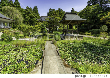 上越　林泉寺　境内　新潟県上越市 108636853