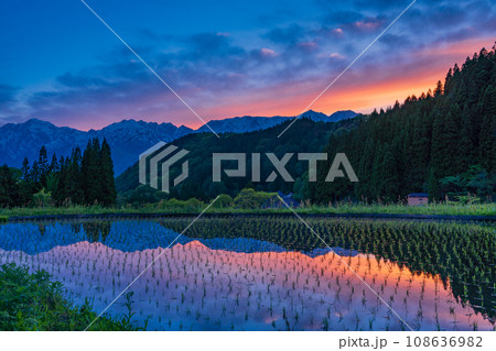 （長野県）白馬村・青鬼（あおに）集落の棚田と残雪の北アルプス　夕景 108636982