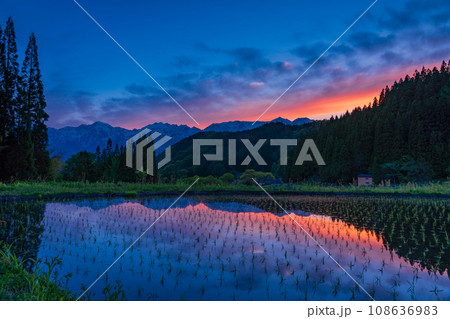 （長野県）白馬村・青鬼（あおに）集落の棚田と残雪の北アルプス　夕景 108636983