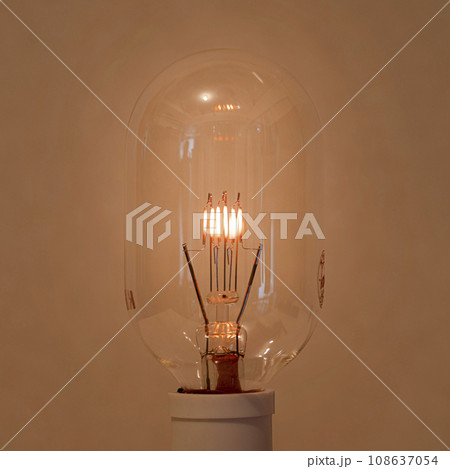 フィラメントがほんのりとやさしく光る長丸形白熱電球 108637054