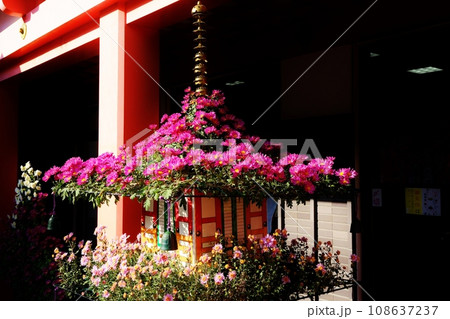 菊の五重塔に飾られたかわいいミニチュアの梵鐘 108637237