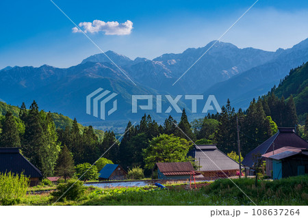 （長野県）白馬村・青鬼（あおに）集落の棚田と残雪の北アルプス　午後 108637264