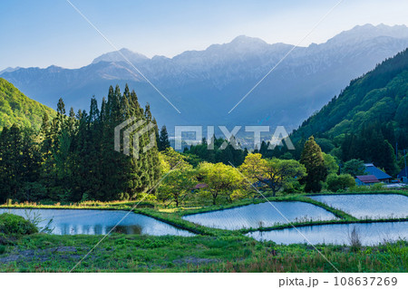 (長野県)白馬村・青鬼(あおに)集落の棚田と残雪の北アルプス 午後 (長野県)白馬村・青鬼(あおに)集落の棚田と残雪の北アルプス 午後 108637269