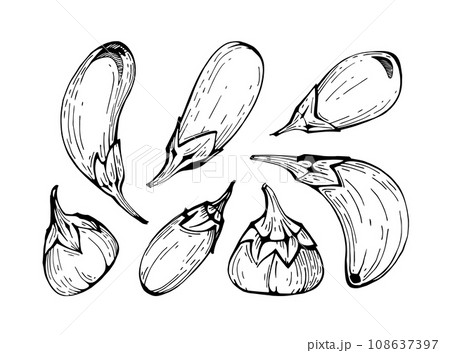 Set of hand drawn eggplants 108637397