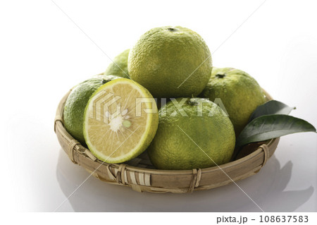 幻の果実 じゃばら 和歌山県 北山村産 白背景 幻の果実 じゃばら 和歌山県 北山村産 白背景 108637583