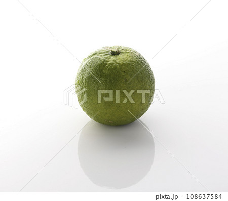 幻の果実 じゃばら 和歌山県 北山村産 白背景 幻の果実 じゃばら 和歌山県 北山村産 白背景 108637584