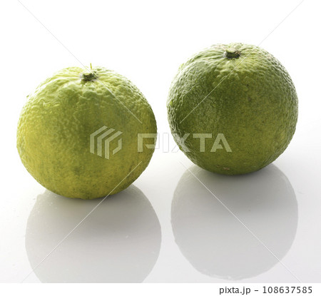 幻の果実 じゃばら 和歌山県 北山村産 白背景 108637585