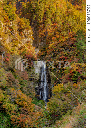 白山白川郷ホワイトロード しりたか滝 紅葉 白山白川郷ホワイトロード しりたか滝 紅葉 108638797