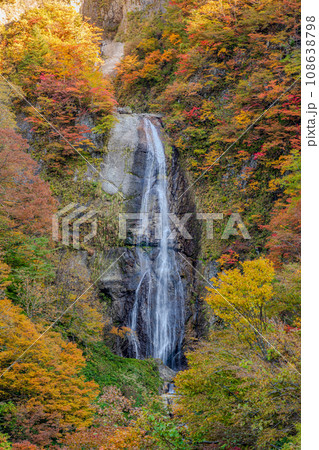 白山白川郷ホワイトロード　しりたか滝　紅葉 108638798