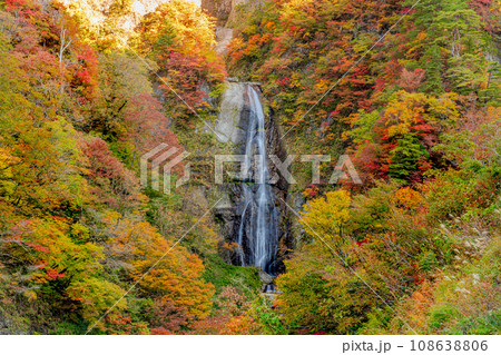 白山白川郷ホワイトロード しりたか滝 紅葉 白山白川郷ホワイトロード しりたか滝 紅葉 108638806