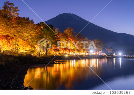 《山梨県》富士山と紅葉ライトアップ・山中湖湖畔 108639268