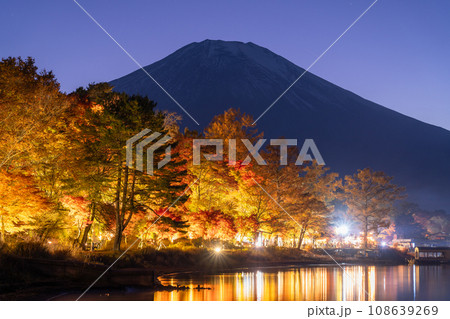 《山梨県》富士山と紅葉ライトアップ・山中湖湖畔 《山梨県》富士山と紅葉ライトアップ・山中湖湖畔 108639269