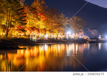 《山梨県》富士山と紅葉ライトアップ・山中湖湖畔 108639275