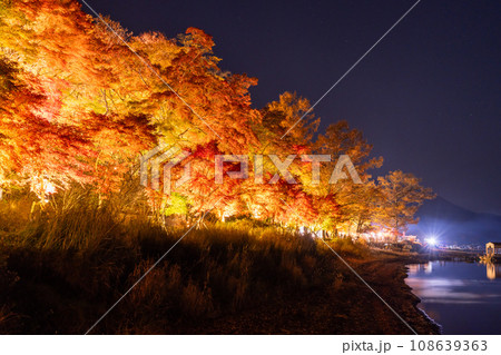 《山梨県》山中湖紅葉ライトアップ・旭日丘湖畔緑地公園 《山梨県》山中湖紅葉ライトアップ・旭日丘湖畔緑地公園 108639363
