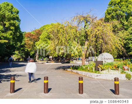 東京 秋の上野公園 東京 秋の上野公園 108640343