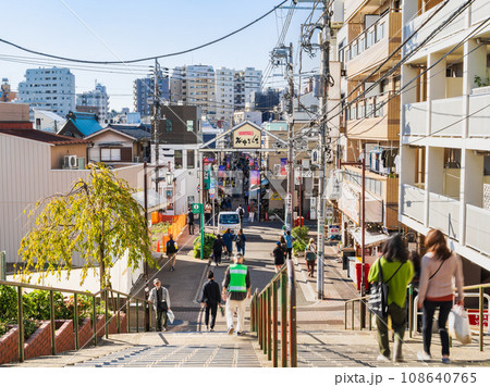 東京　下町の風情が残る谷中 108640765