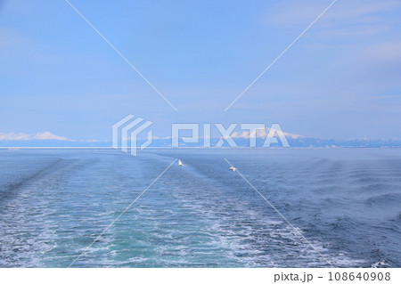 冬　オホーツク海　白鳥 108640908