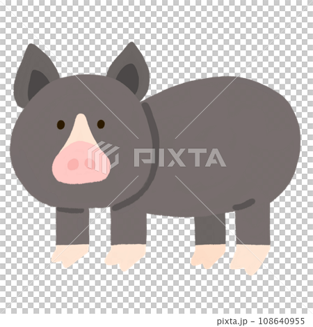 黑豬 黑豬 108640955