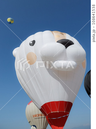 2023年 佐賀インターナショナルバルーンフィエスタ 2023年 佐賀インターナショナルバルーンフィエスタ 108641538