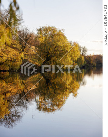 Reflection of yellow trees over the pond with calm water 108641783