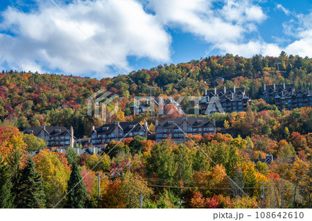 紅葉に包まれたモントランブラン　カナダ　ケベック州 108642610