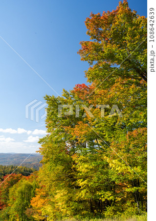 紅葉の山々から見た風景 カナダ ケベック州 モントランブラン 紅葉の山々から見た風景 カナダ ケベック州 モントランブラン 108642639