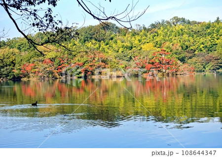 短い秋の始まりの一碧湖 短い秋の始まりの一碧湖 108644347