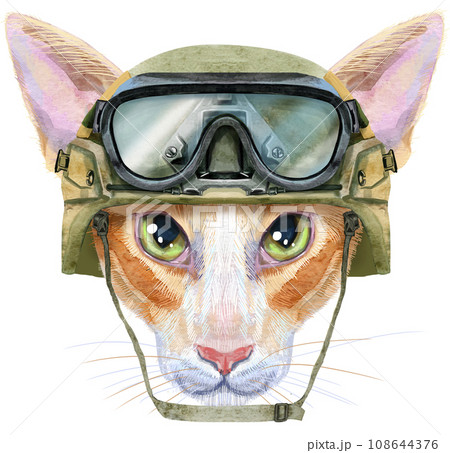Lovely closeup portrait oriental cat in military tactical helmet with goggles. Hand drawn water colour painting on white background 108644376