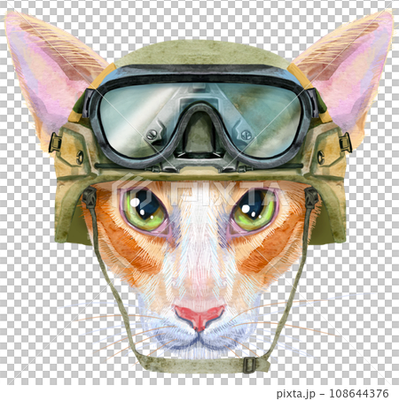 Lovely closeup portrait oriental cat in military tactical helmet with goggles. Hand drawn water colour painting on white background 108644376