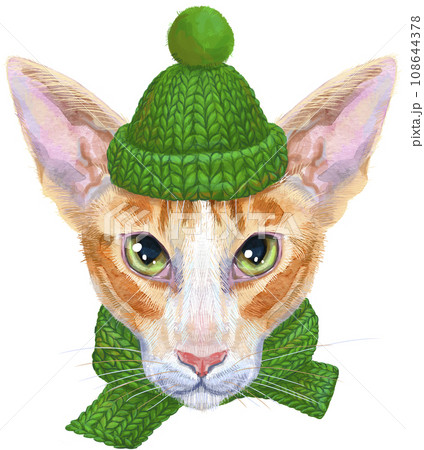 Lovely closeup portrait oriental cat in a green knitted hat and scarf. Hand drawn water colour painting on white background 108644378
