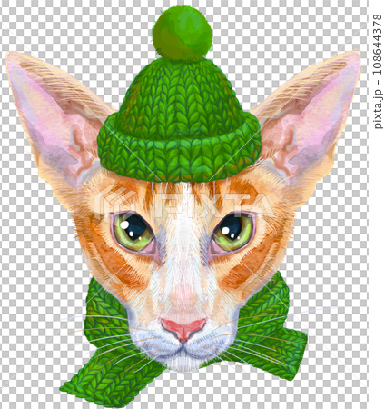 Lovely closeup portrait oriental cat in a green knitted hat and scarf. Hand drawn water colour painting on white background 108644378