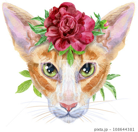 Lovely closeup portrait oriental cat in a wreath of flowers. Hand drawn watercolor painting on white background 108644381