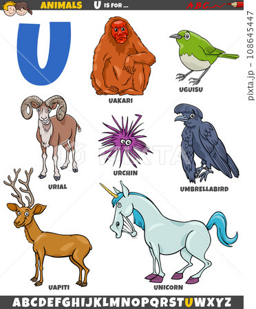 cartoon animal characters for letter U educational set 108645447