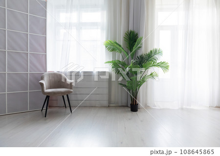 chair and green plant flower in a pot in a bright room interior 108645865