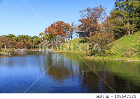 新潟 高田城址の紅葉 新潟 高田城址の紅葉 108647329
