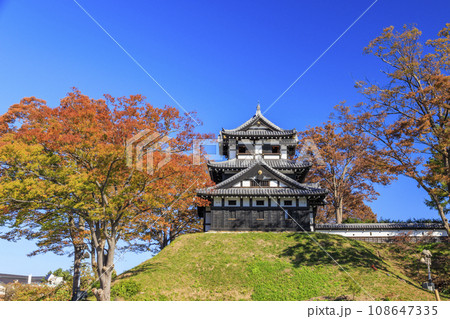 新潟　高田城址の紅葉 108647335