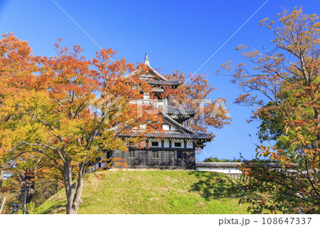 新潟　高田城址の紅葉 108647337