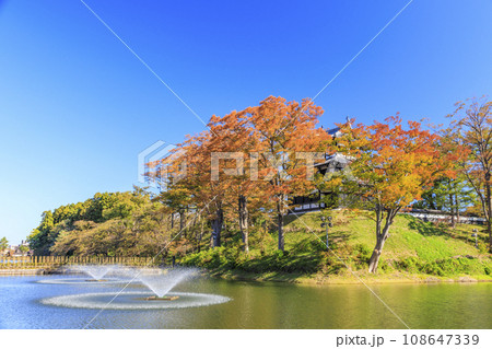 新潟　高田城址の紅葉 108647339